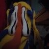 jillietube